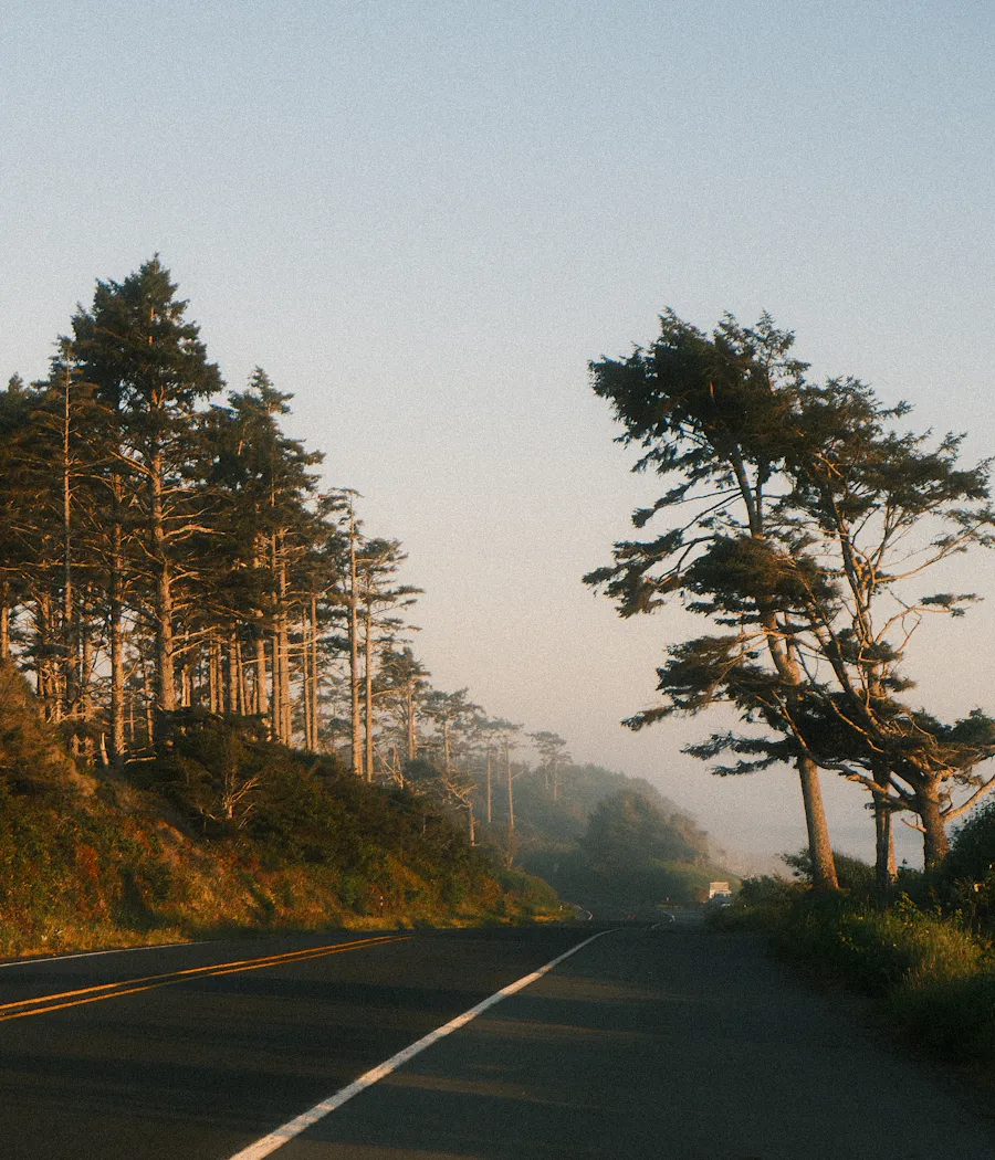 A quiet road beside a forested hillside in morning mist